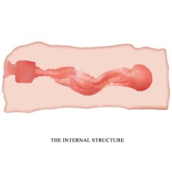 CRAZY BULL - JANE vagina masturbator