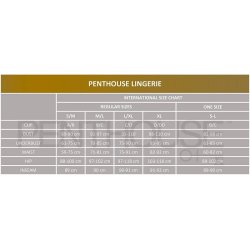 PENTHOUSE HEART ROB kort kjole